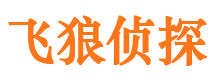 金湾侦探公司